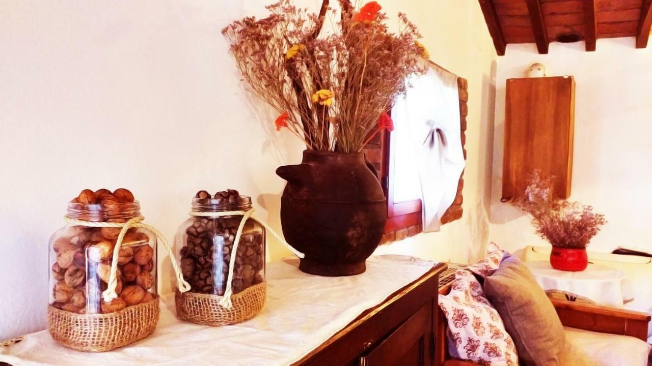 Pensjonat La Vecchia Fornace Cortona Zewnętrze zdjęcie