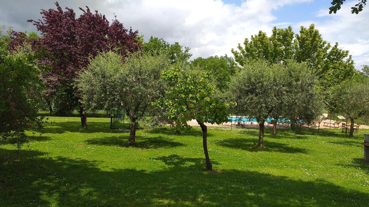 Pensjonat La Vecchia Fornace Cortona Zewnętrze zdjęcie